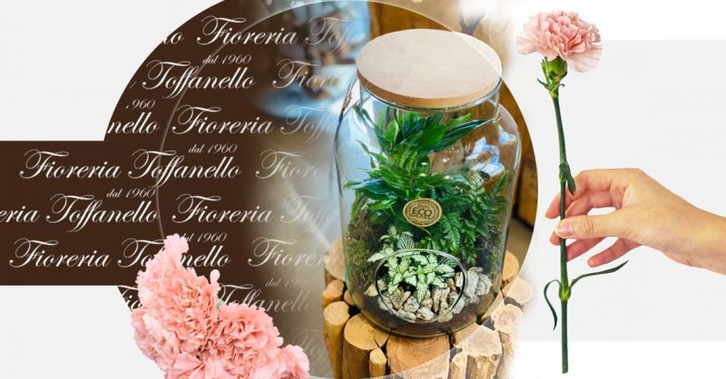 Occasione Terrarium per arredare e giardini sotto vetro idea regalo Vicenza